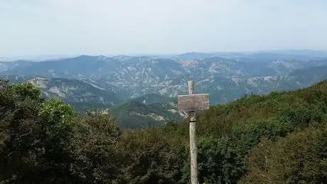 Photo de Hillock Scali