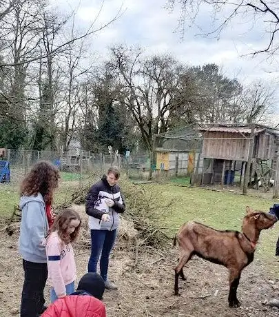 Photo of Ferme d'Animation du fort lachaux