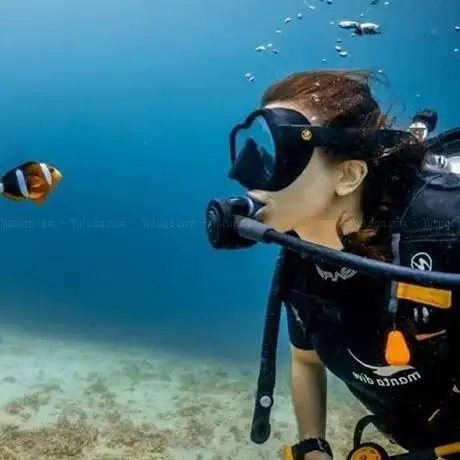 Photo de Dreamofdivers Dalış Eğitim Merkezi
