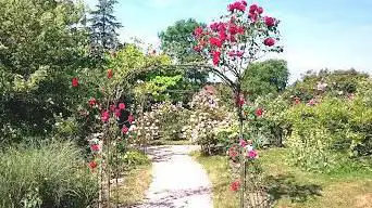 Photo de La Roseraie des villages de France