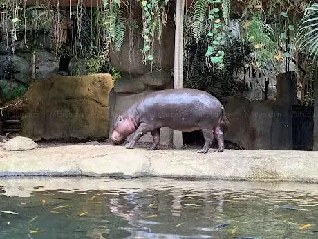 Photo of Dôme Équatorial