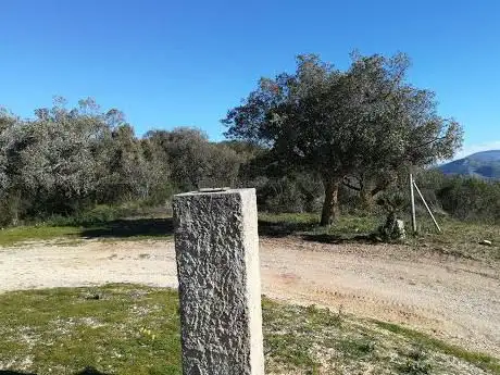 Photo de Torretta Bosco di Angimbè
