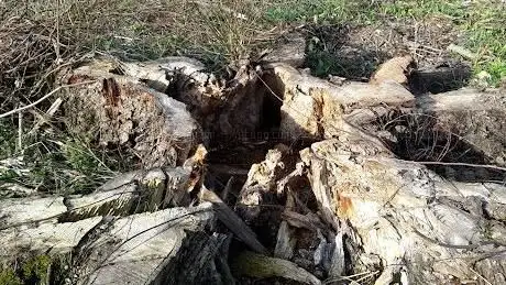 Photo de Pottenbrunner Au