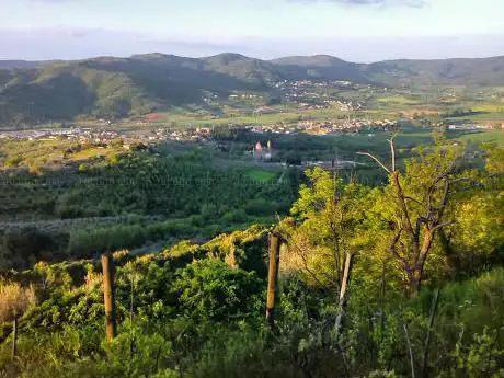 Photo de Sanctuary Madonna di Mongiovino