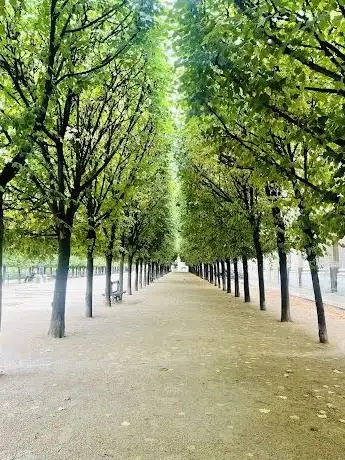 Photo of Jardin du Palais Royal