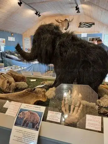 Photo de Skäftekärr Fossil- & Stenmuseum  Öland