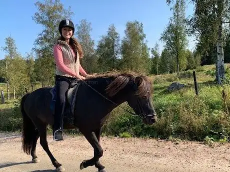Photo de Kalvbergsåsens Islandshästar