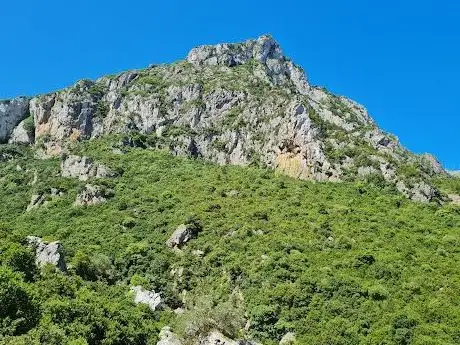 Photo de جبل بوزيتون