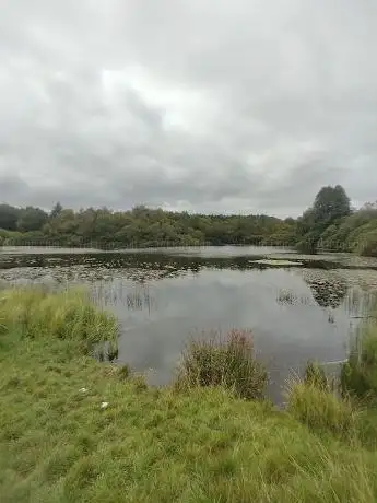 Photo de Rossmore Forest Park Playground