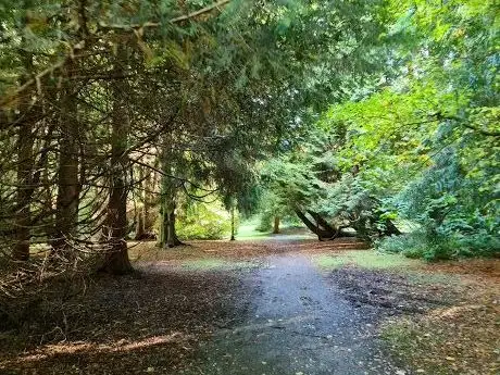 Foto de Gosford Forest Park