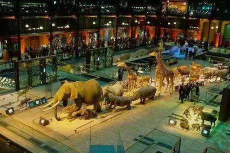 Photo de Grande Galerie de l'Évolution