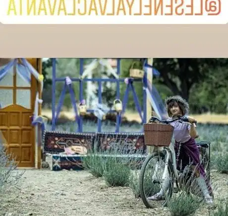 Photo de Le Şenel Yalvaç Lavanta Park