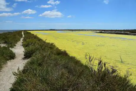 Photo de Salins de Villeroy