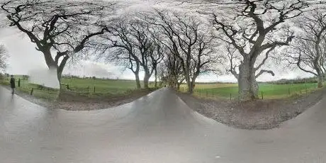 Photo of The Dark Hedges