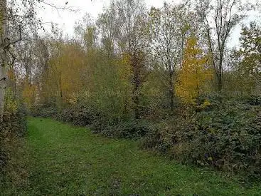Photo de De Bramentuin