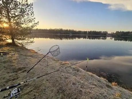 Photo de Rødekro Fiskepark