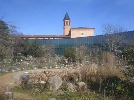 Photo de Muséum de Toulouse