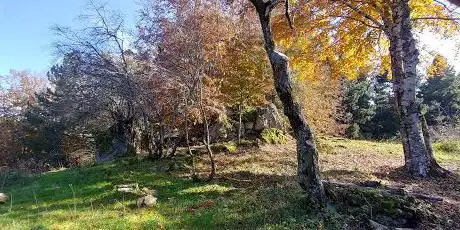 Photo de Torre Rinosi