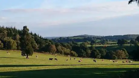 Photo de Alderwasley Park