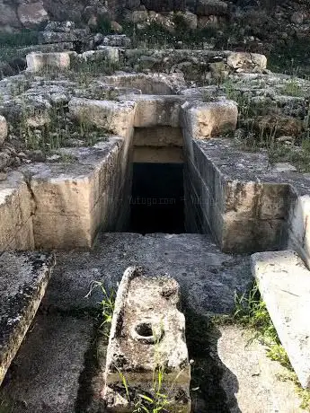 Photo de Pozzo Sacro del Predio Canopoli