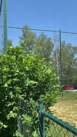 Photo de Sportplatz Am Köpfchen