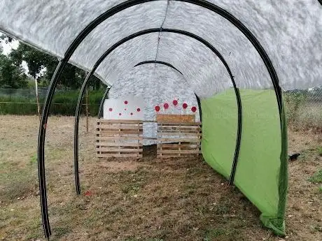 Photo of Scorpion paintball 02