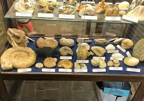 Photo de Museum of Natural History