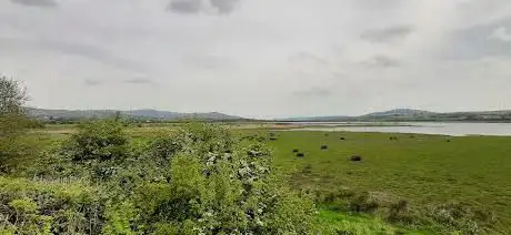 Inch Wildfowl Reserve
