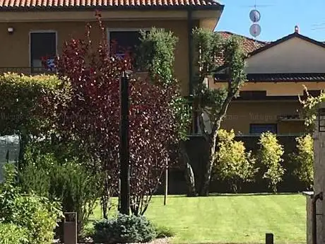 Photo de Floricoltura Meraviglia