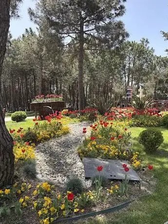 Photo of İBB-Trafik Müdürlüğü Hatıra Ormanı