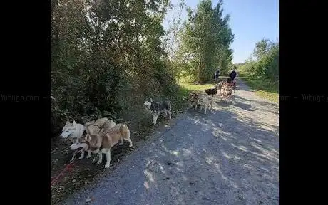 Photo de Letourneux Jérôme