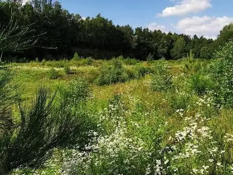 Photo de Alter Steinbruch Liekwegen