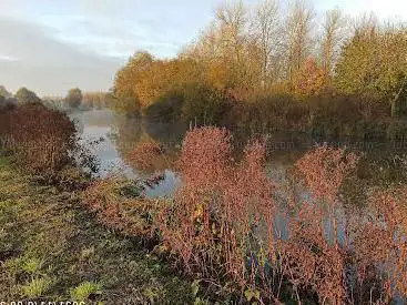 Photo de Réserve naturelle régionale de la tourbière de Vred