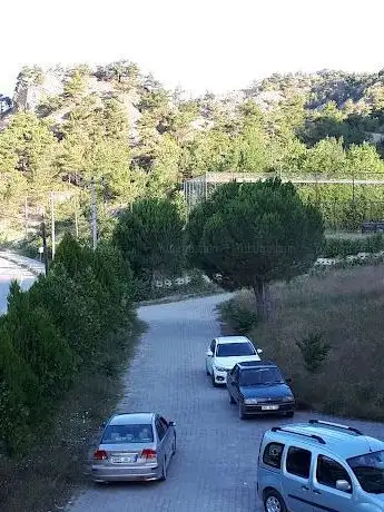 Photo de Halı Saha