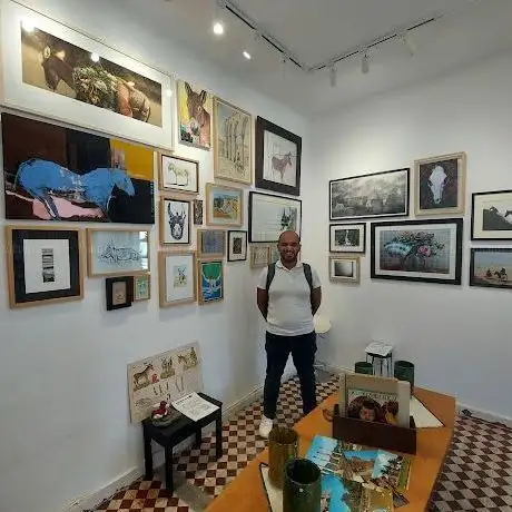 Photo de Donkey Museum