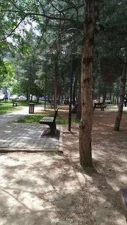Photo de Eğitim Yürüyüş Parkı