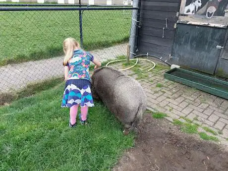 Photo de Kinderboerderij Bergeijk