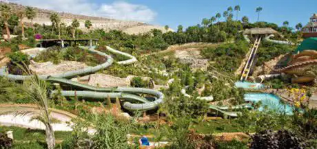 Photo de Jungle Snake