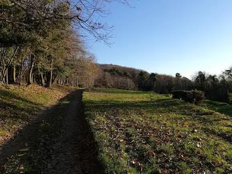 Photo de Campo sportivo Limiti