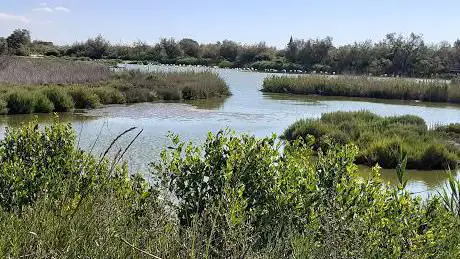 Photo of Parc naturel régional de Camargue