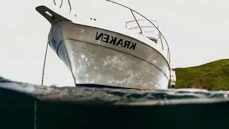 Photo de Kraken