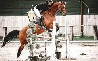 Foto de Stud of Monthomé