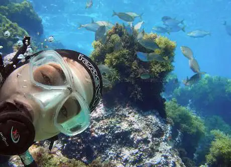Photo de Aquatours Almeria Aventuras Submarinas