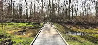 Photo de Site Ornithologique des Cinq Tailles