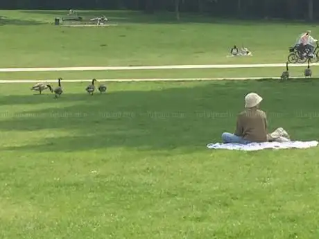 Photo de Picknickwiese am Aachener Weiher