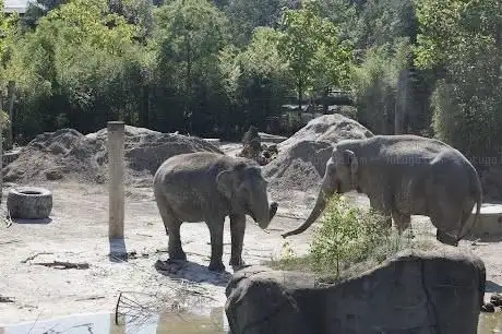 Photo de Zoo-Verein Münster