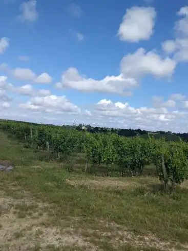 Photo de Château de Laville