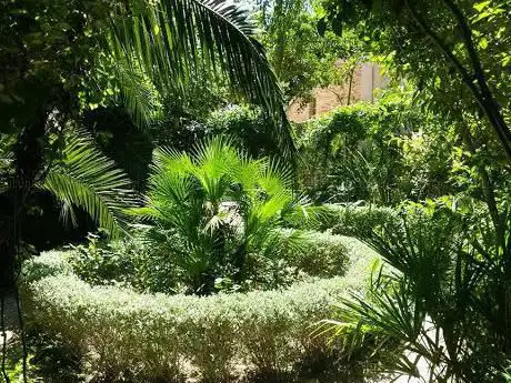 Photo de Villa dei Ligustri