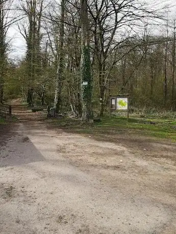 Photo de Louvière Woods