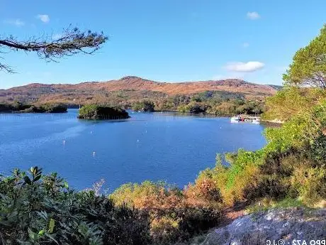 Photo de Coastal Woodland Walk